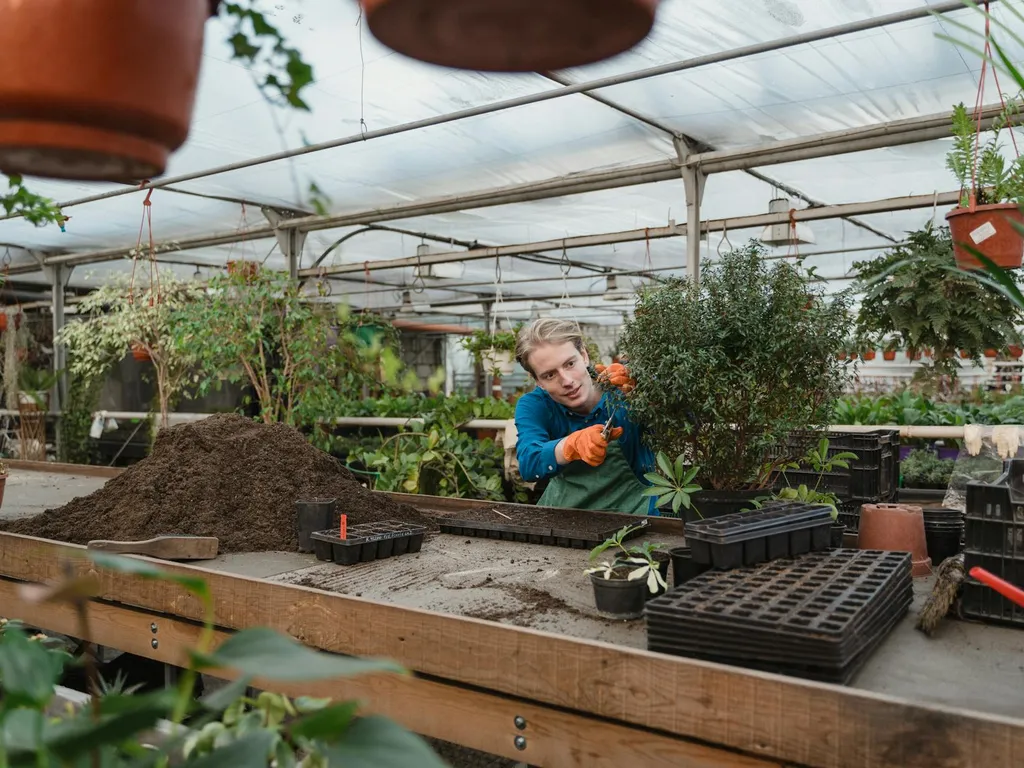 jardinage-en-serre