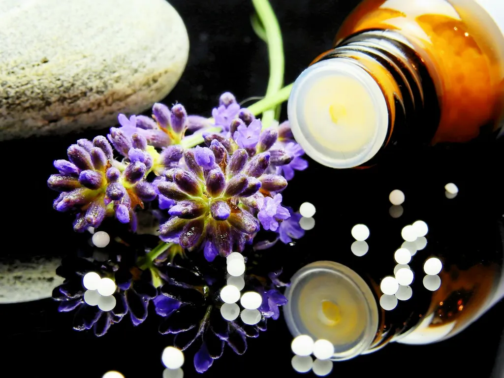sante-des-plantes-par-chelatage