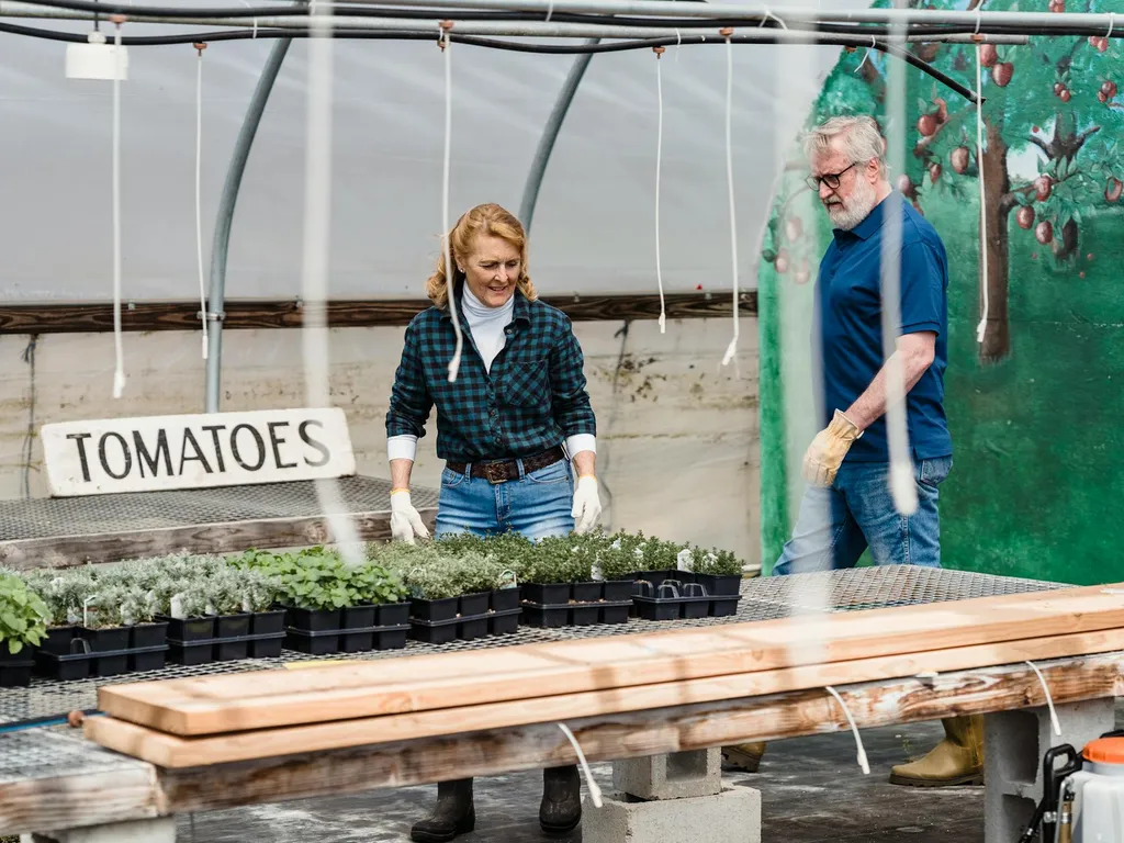 serre-de-semis-de-tomates